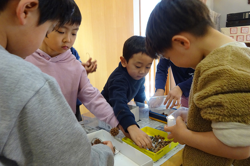 清泉幼稚園の写真